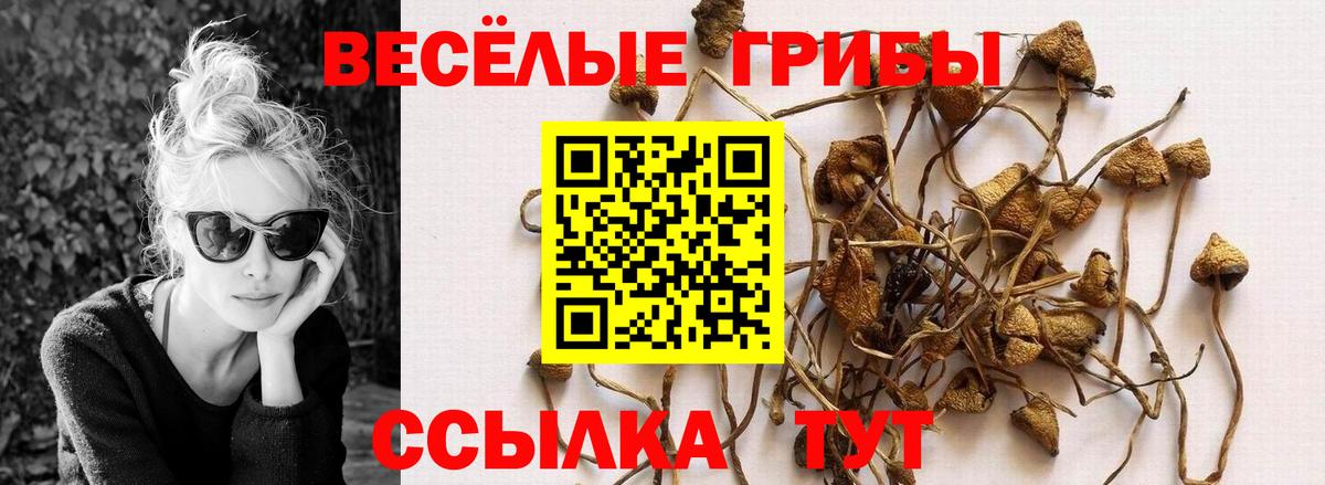 Смоленск  как найти наркотики  Вход с VPN  Псилоцибиновые грибы GOLDEN TEACHER 